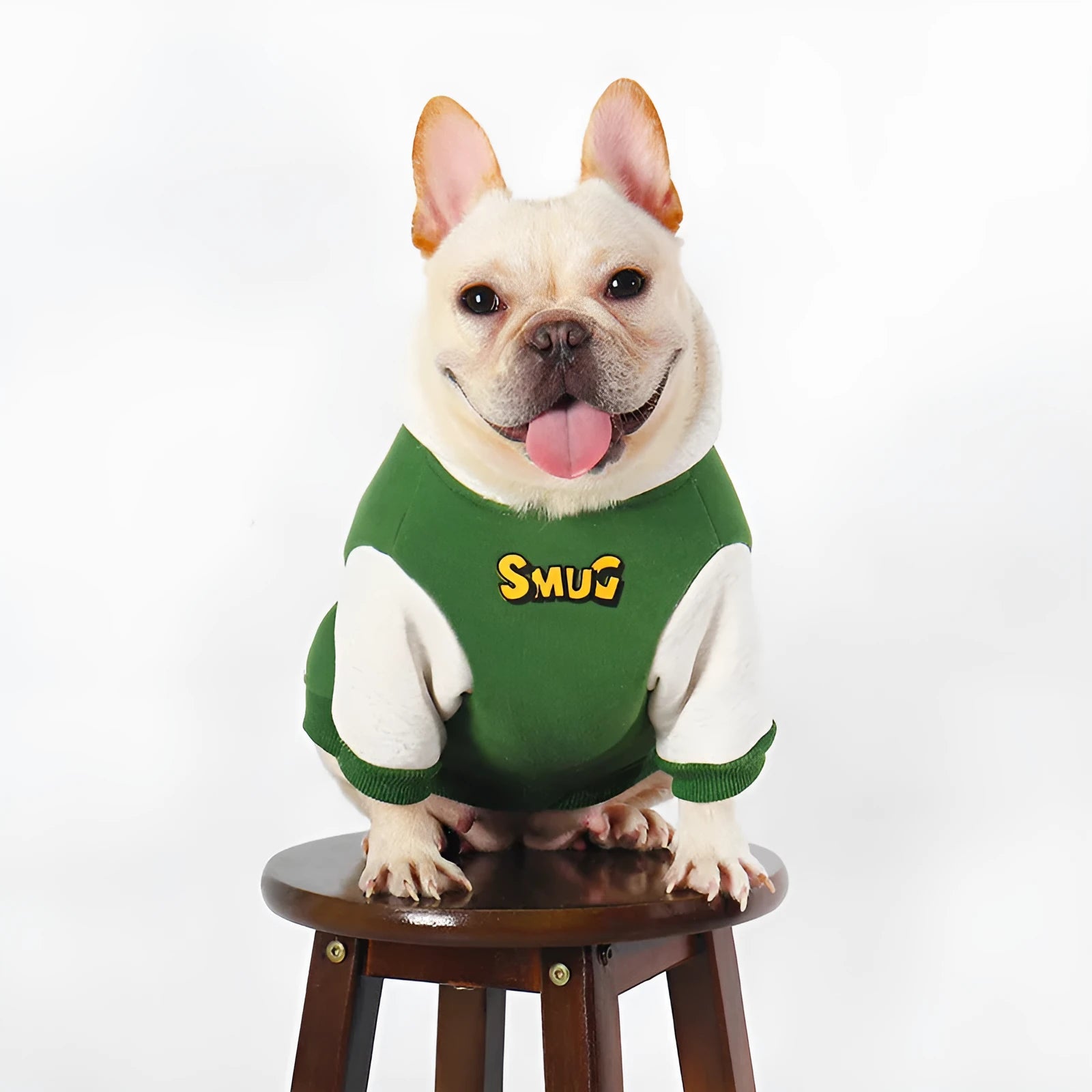 Green cotton hoodie for large dogs, sizes L XL 2XL 3XL 4XL, for autumn and winter wear.