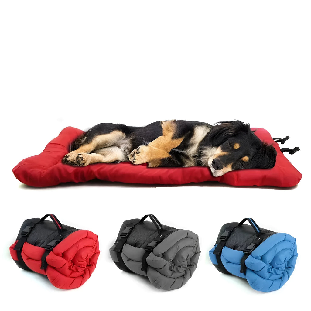 Blue foldable outdoor dog bed showing folded size next to unfolded mat on grass