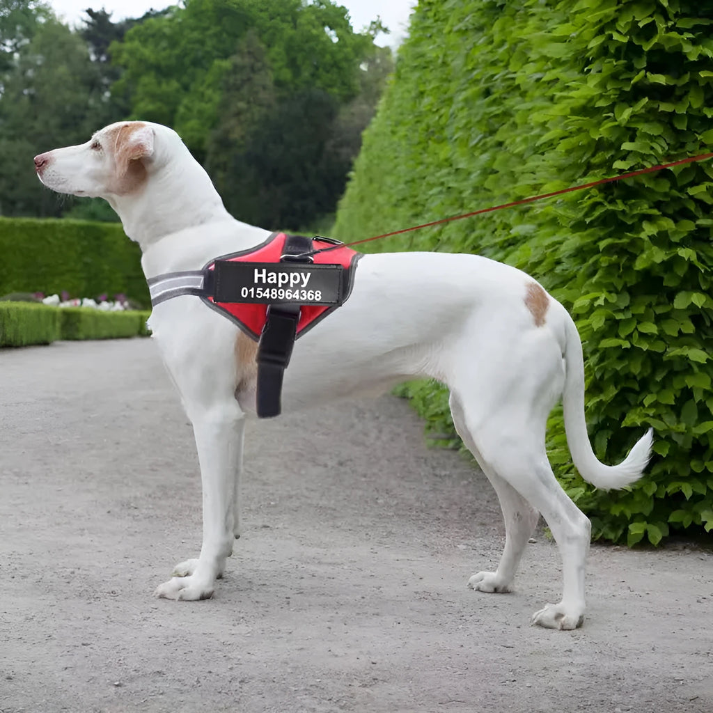Reflective adjustable nylon no-pull dog harness vest in multiple colours