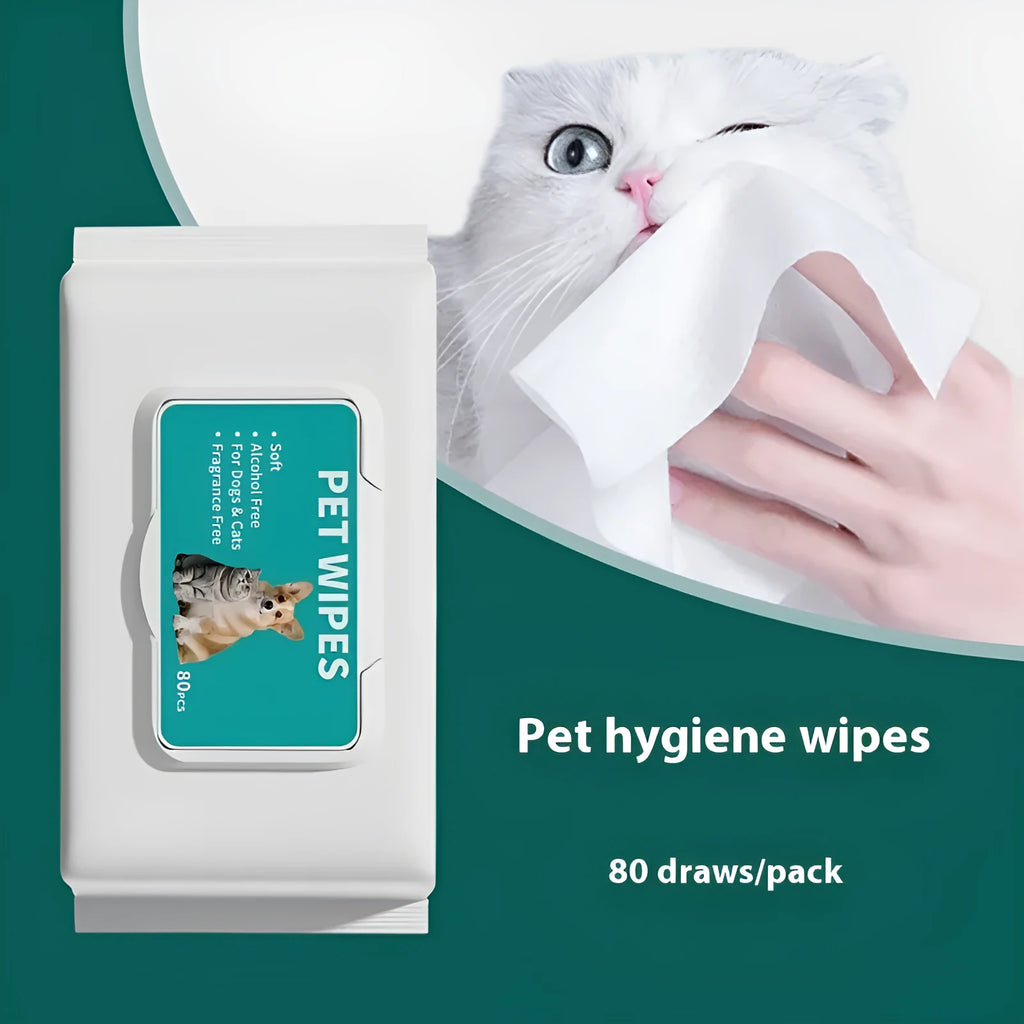 Cat hygiene wipes pack with 10 puffs, disposable pet cleaning wipes in neutral English packaging