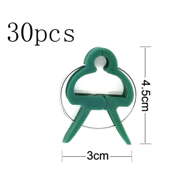 Green plastic and zinc plant fixing clips holding a tomato vine to a garden cane.