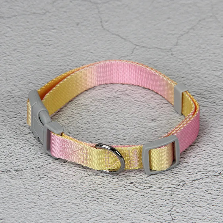 Gradient colour nylon dog lead and adjustable chest harness set for small or medium dogs.