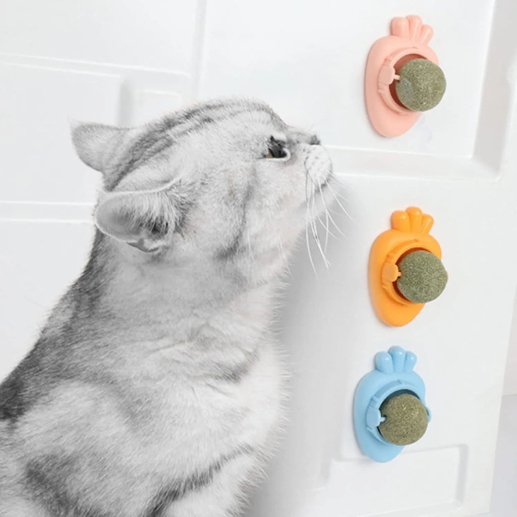 Blue carrot-shaped self-adhesive catnip wall toy for dental cleaning and anxiety relief