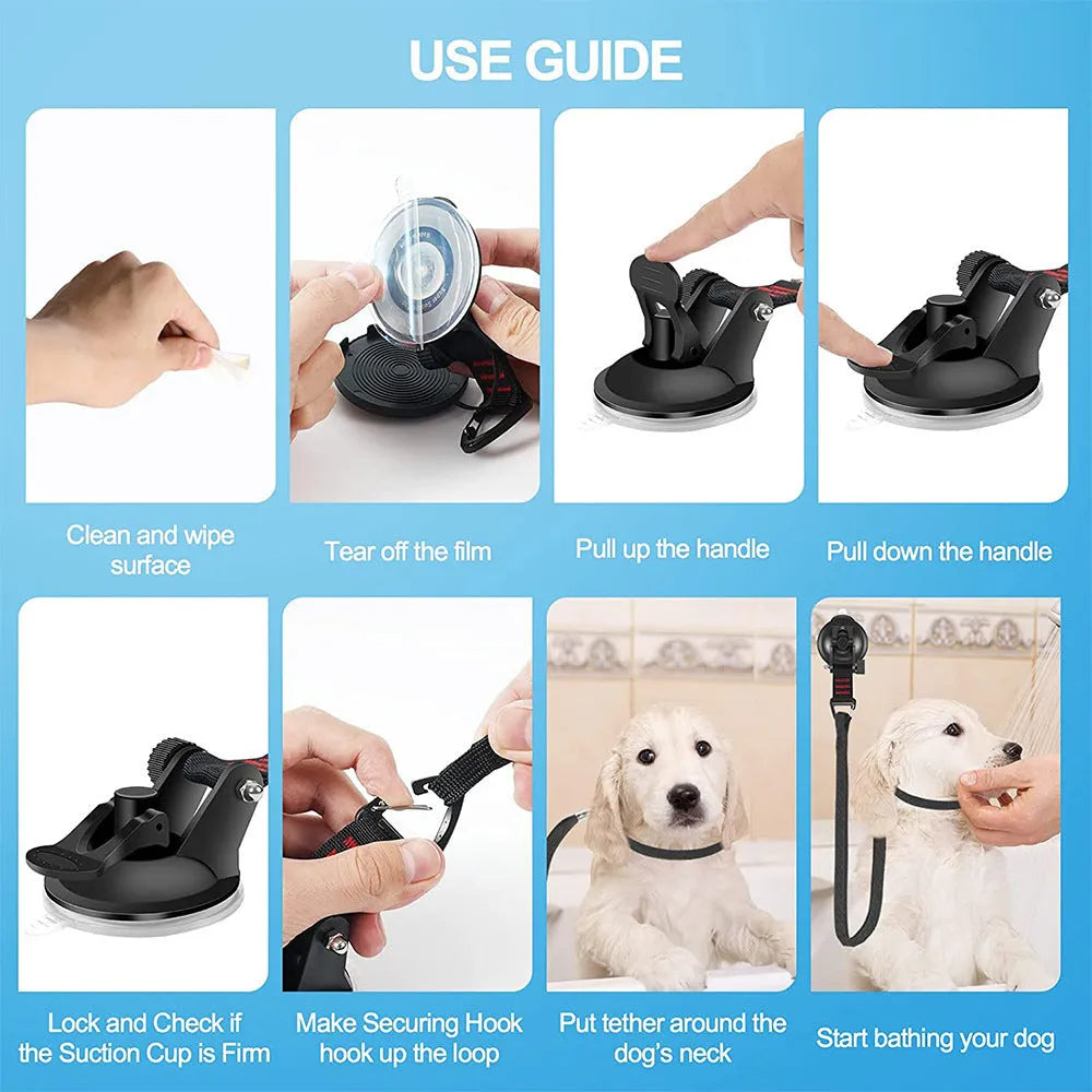 Pet bathing restraint with blue suction cups and adjustable rope securing a dog during washing