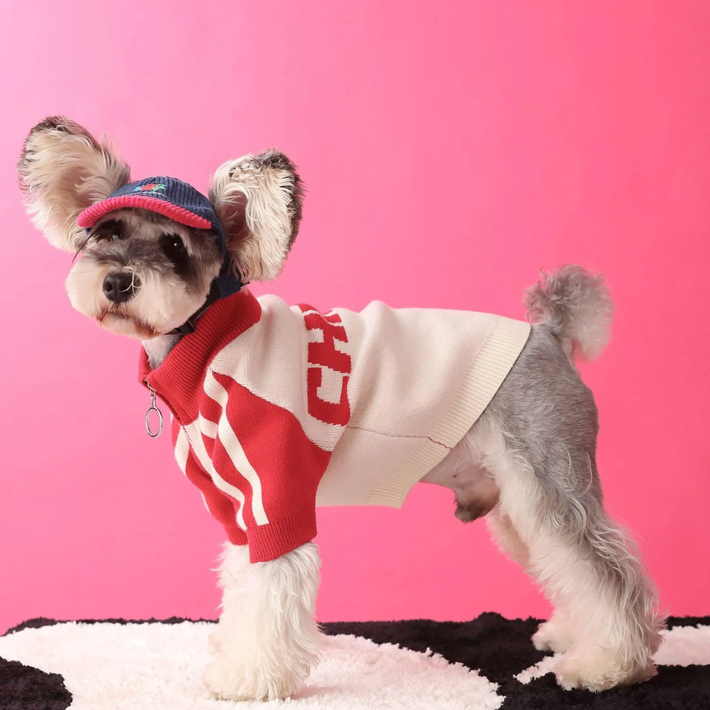 Red puppy dog wearing wool sports cardigan sweater pet clothing