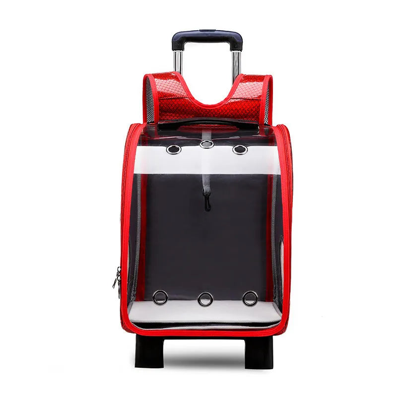 Transparent folding pet trolley with shoulder strap in blue colour for small dog transport