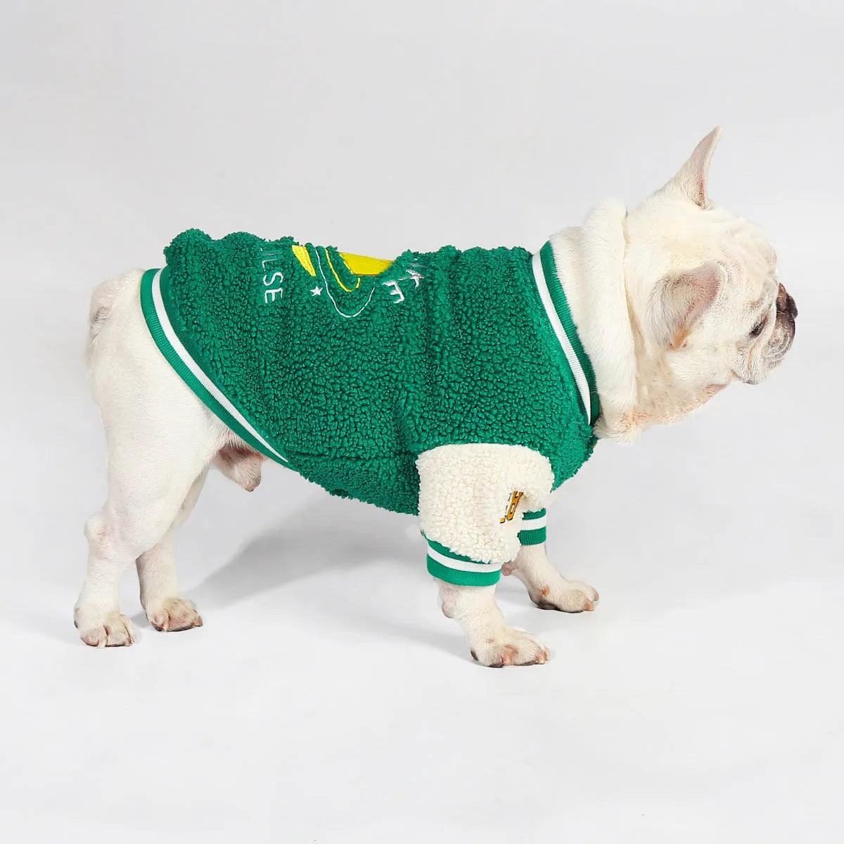 Green fleece-lined dog winter coat shown on a large dog, sizes include L, XL, XXL, 3XL, and 4XL.