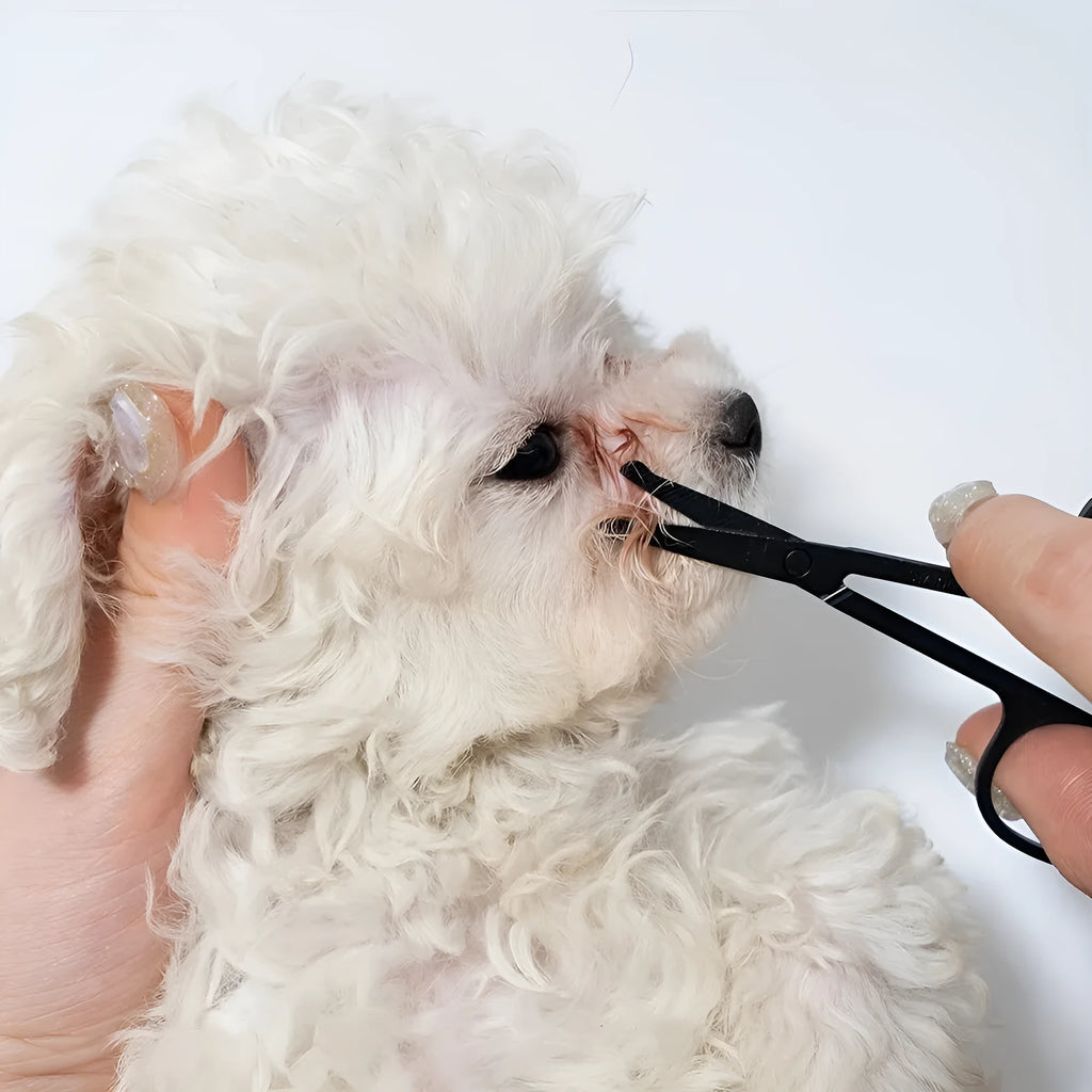 Black handheld pet grooming brush with a soft silicone head for eye tear stain removal.