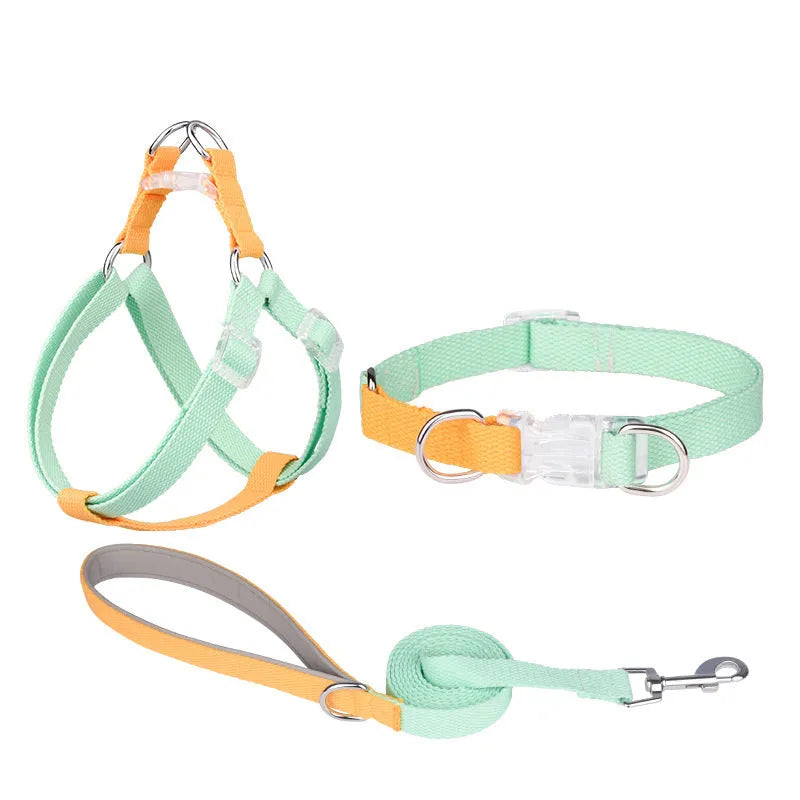 Polyester dog collar set with matching lead and harness in green-pink two-tone colour combination