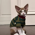 Green striped two-legged dog vest for small pets, autumn casual pet clothes with folded edges