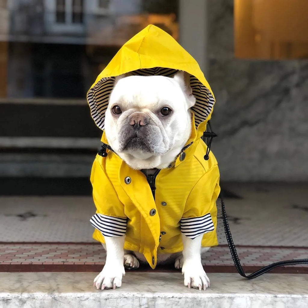 Yellow polyester dog raincoat with windproof waterproof twill and cotton inside, sizes S to 4XL