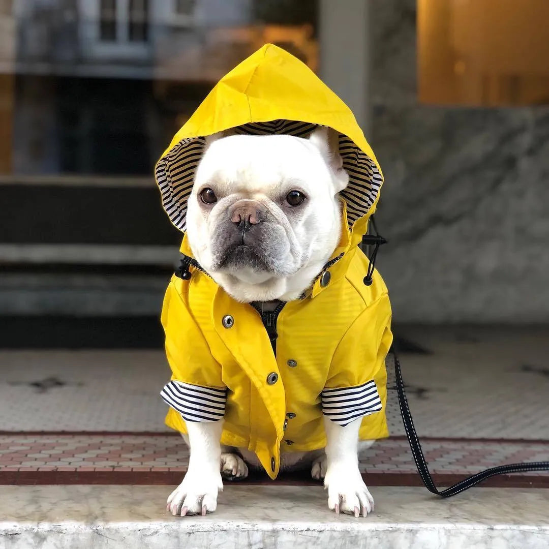 Yellow polyester dog raincoat with windproof waterproof twill and cotton inside, sizes S to 4XL