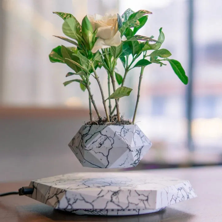 Marble colour magnetic levitating plant pot floating and rotating a small bonsai plant