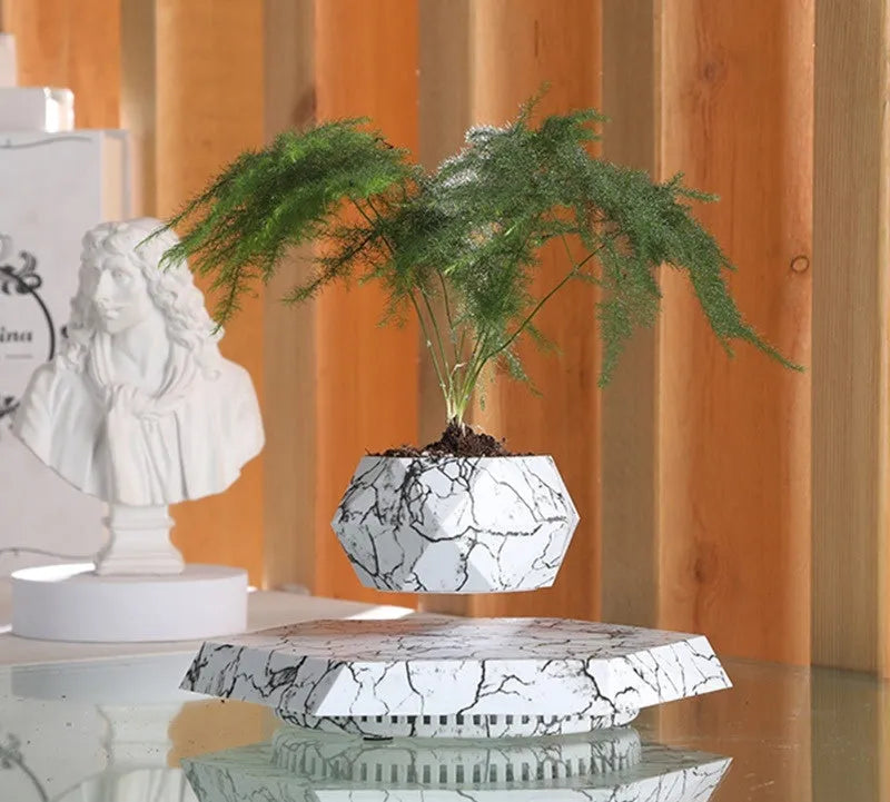 Marble colour magnetic levitating plant pot floating and rotating a small bonsai plant