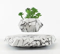 Marble colour magnetic levitating plant pot floating and rotating a small bonsai plant
