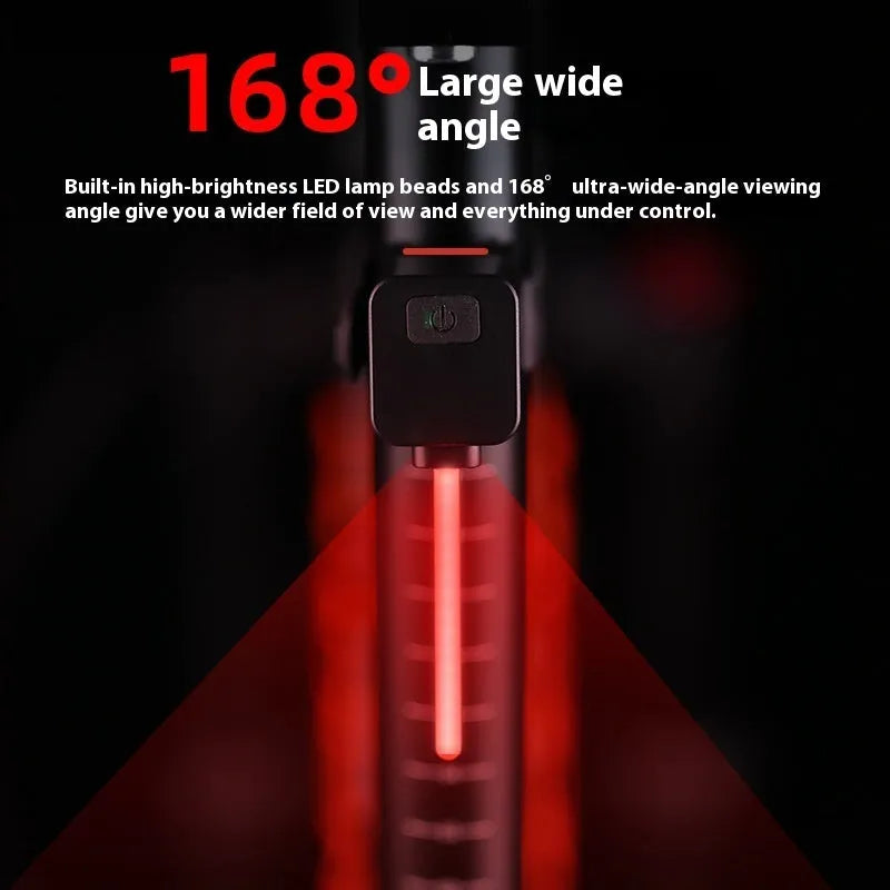 Bicycle taillight with flowing water LED pattern mounted on seat tube with O-ring