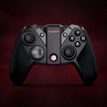 Black Gaishi gaming controller with asymmetrical analogue sticks and USB Type-C cable