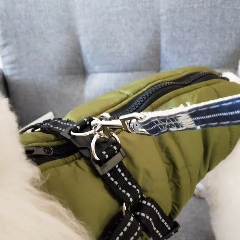 Red waterproof dog coat with a harness hole on a dog, showing the water-resistant fabric and size fit.