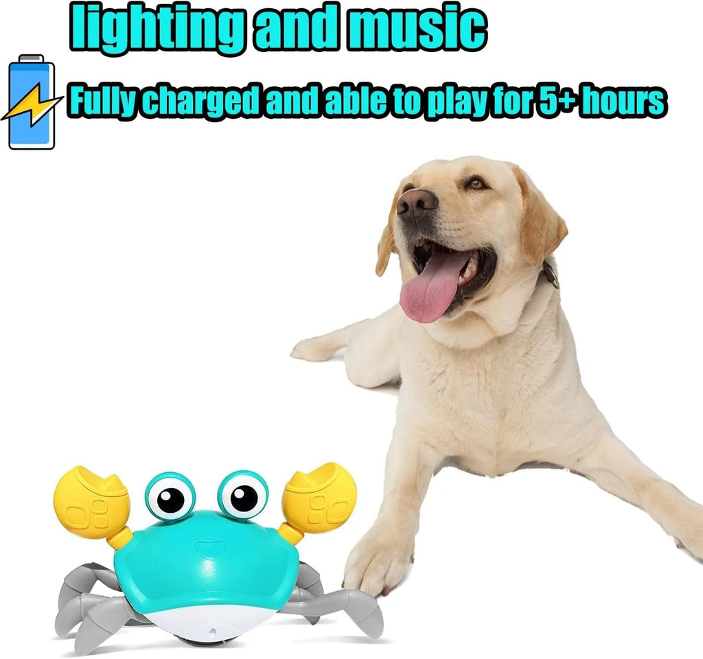 Blue or red electronic crab dog toy with obstacle avoidance sensors, shown moving sideways.