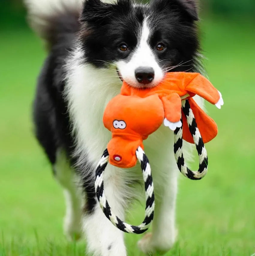 Cotton rope dog chew toy 22.5x8cm for medium and large dogs, two-piece pet bite toy set