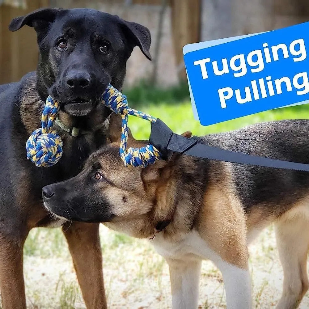 Green cotton dog tug-of-war rope toy with corncob or teether ball design for indoor outdoor play