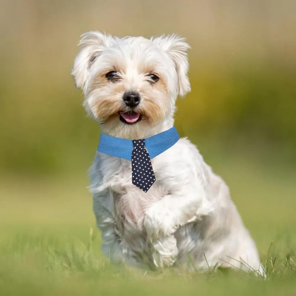 Adjustable denim dog collar with a star pattern necktie, shown in sizes S, M, and L.