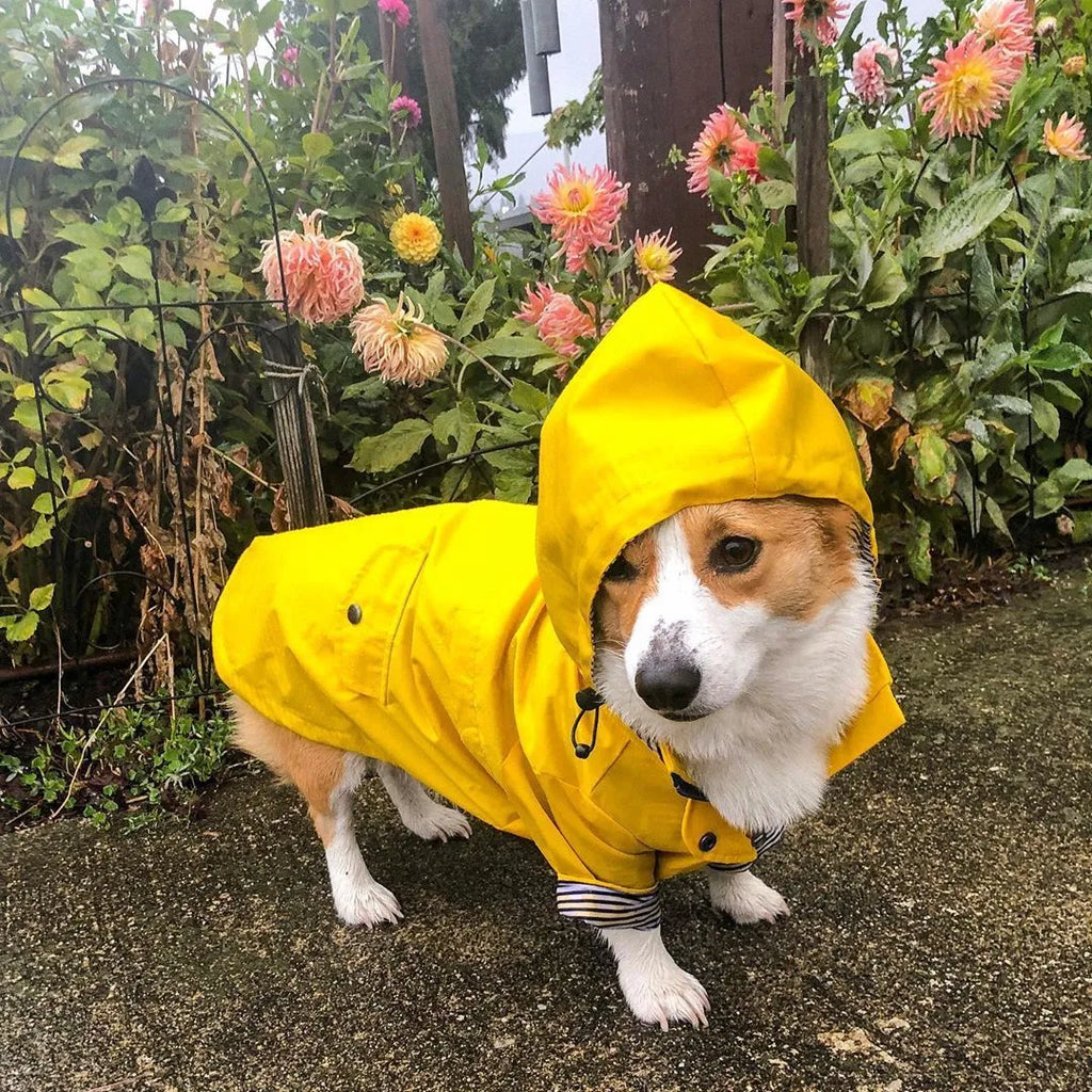 Yellow polyester dog raincoat with windproof waterproof twill and cotton inside, sizes S to 4XL