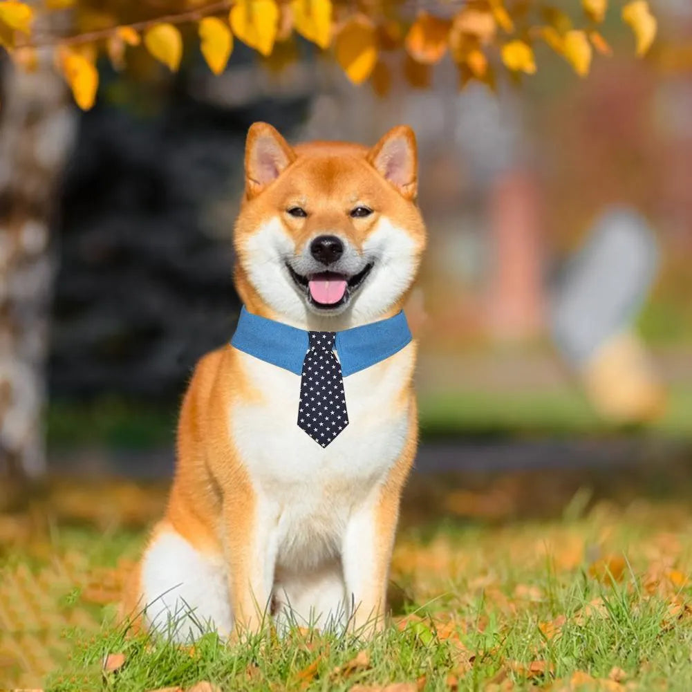 Adjustable denim dog collar with a star pattern necktie, shown in sizes S, M, and L.