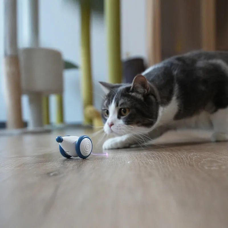 Blue electric cat toy mouse with automatic motion, 60x50x36mm, USB rechargeable, ABS TPU PVC