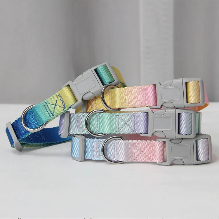 Gradient colour nylon dog lead and adjustable chest harness set for small or medium dogs.