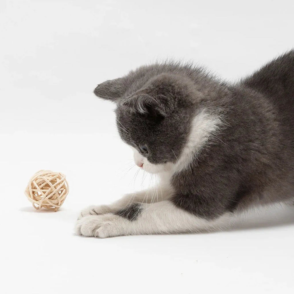 Primary colour cat toy set with a rattan ball and a faux feather ball with bell.