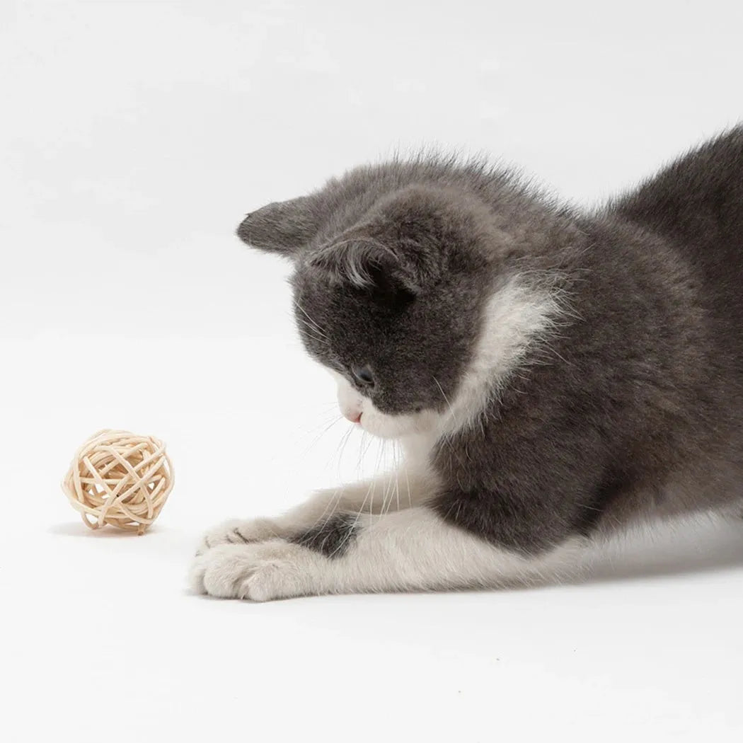 Primary colour cat toy set with a rattan ball and a faux feather ball with bell.