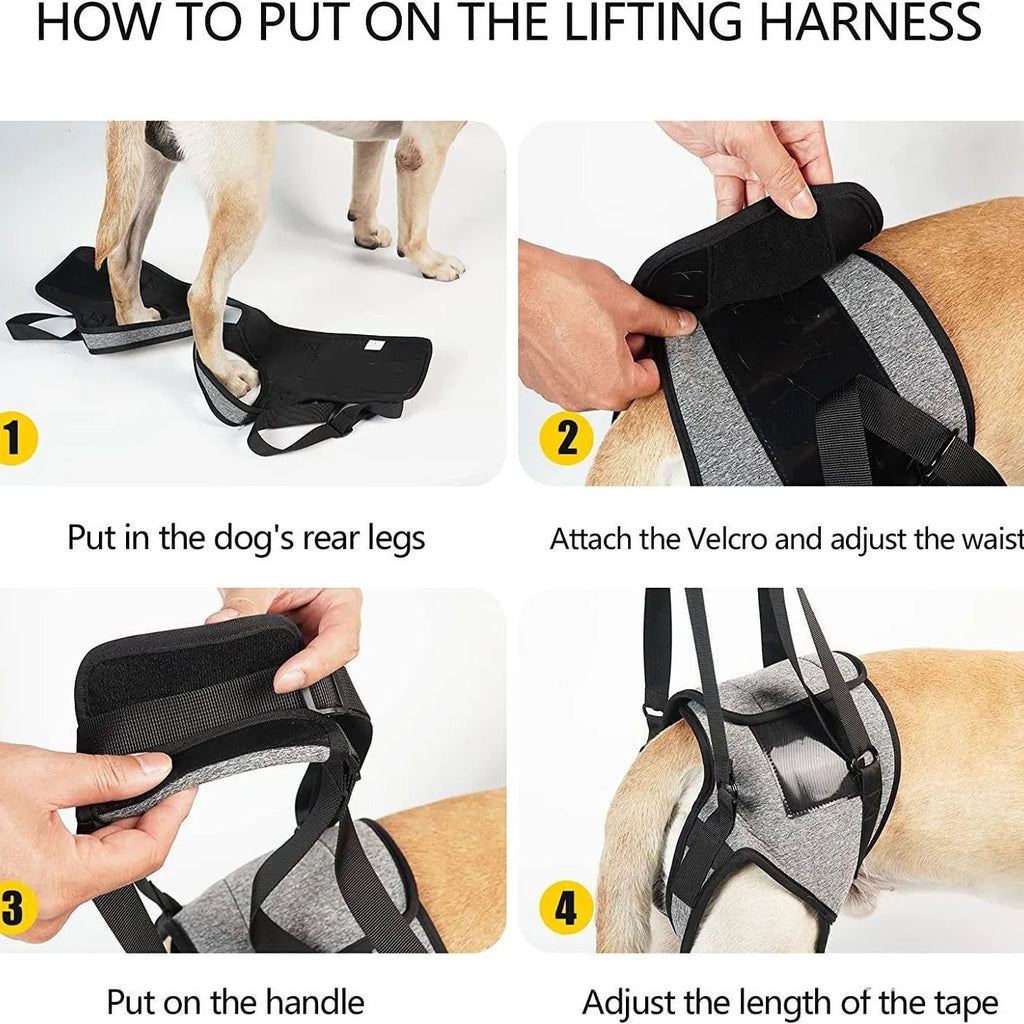 Grey neoprene recovery support belt for a dog's injured rear leg on a size chart.