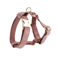 Light purple pink velvet dog collar set with leash, bowknot, and vest for small to medium dogs