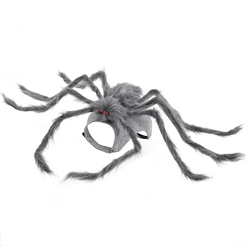 Halloween spider costume for pets in four colour variations with three size options
