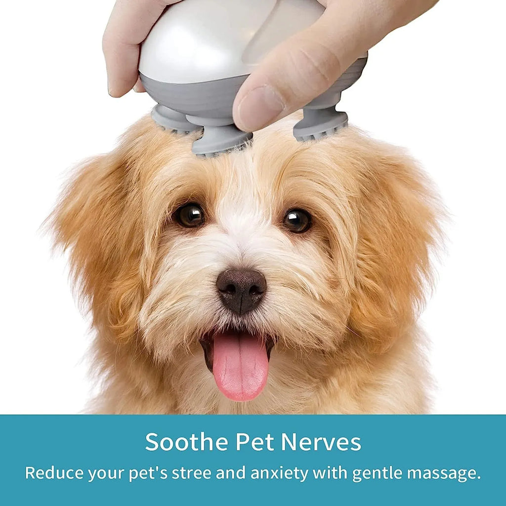 Blue handheld electric pet massager with four rotating heads on a white background.