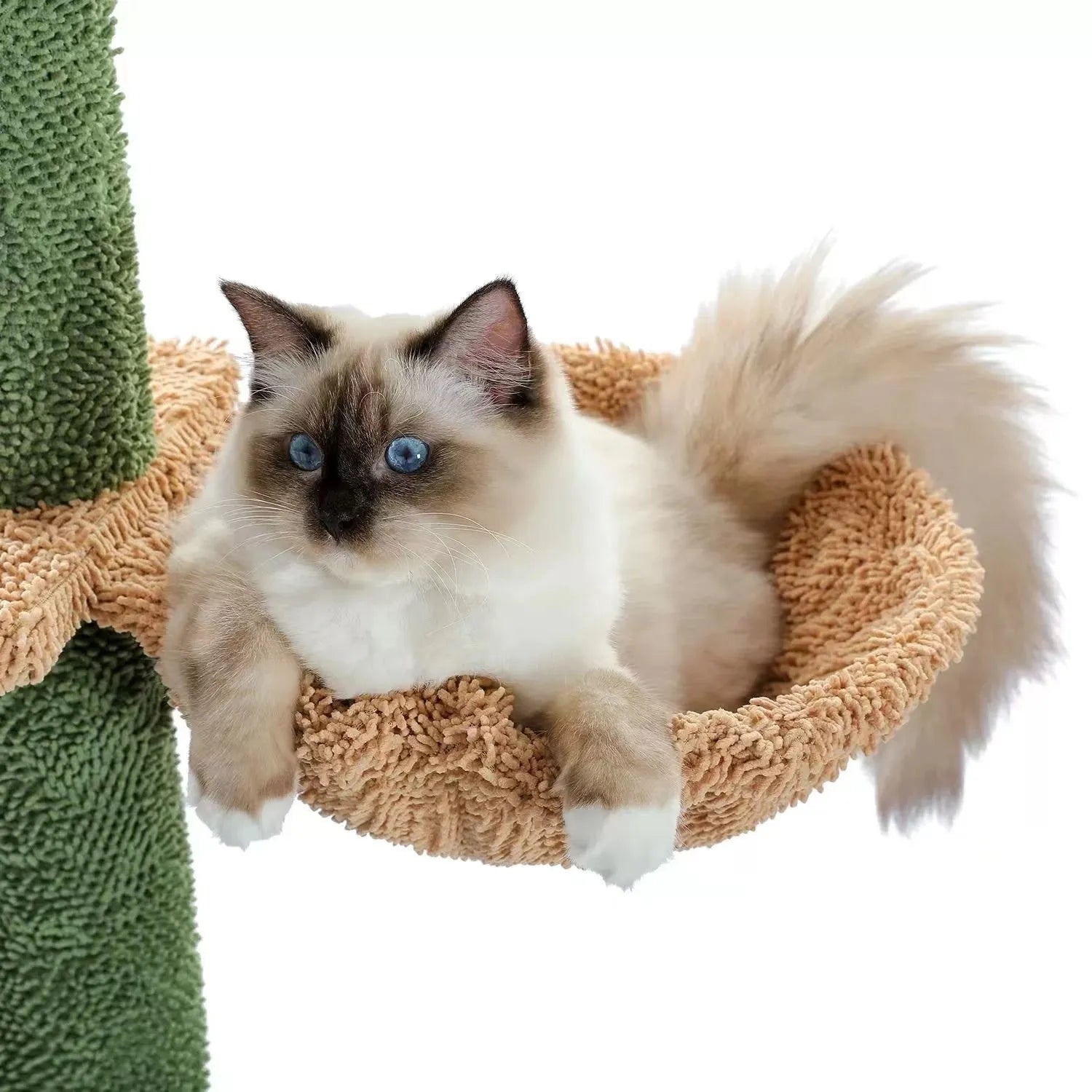 Tall cactus-themed cat climbing frame with integrated scratch board and hanging toy