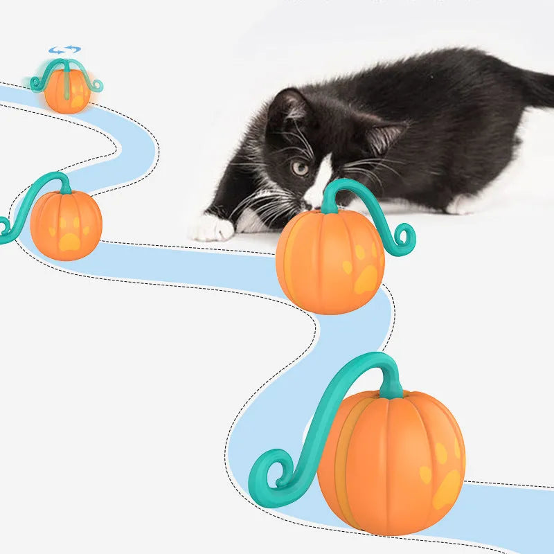 Electric cat toy with luminous rolling ball in pumpkin and watermelon colour designs