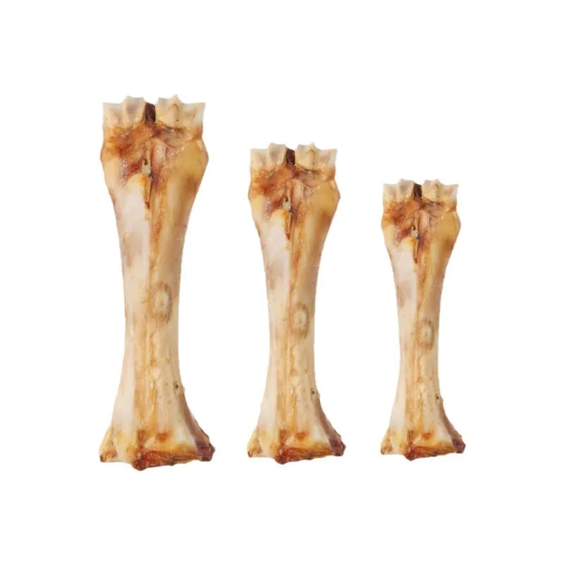 Roasted ox bone dental chew for dogs in large, medium, and small sizes