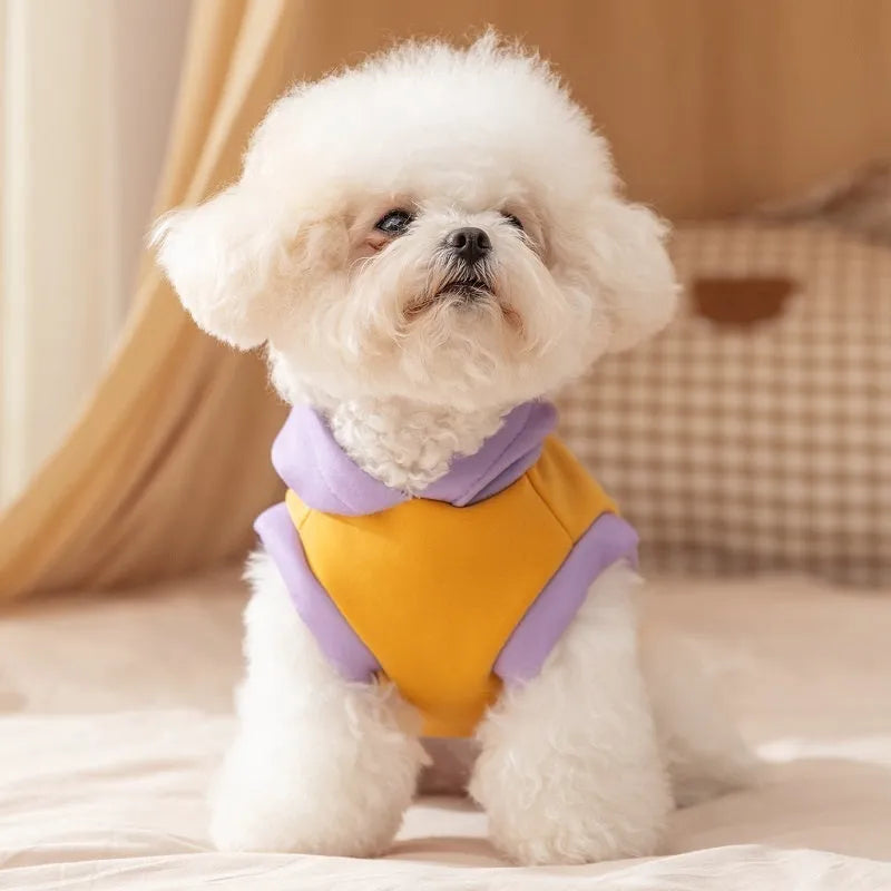 Autumn winter dog hoodie with cute cartoon bear design, blue and yellow, sizes XS to XXL for small to medium pets