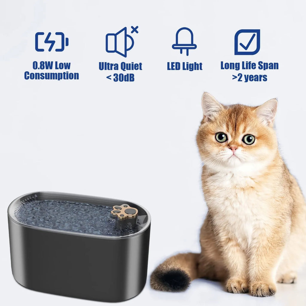 Berlin blue coloured 3-litre pet water fountain with filter and LED light indicator on a floor.