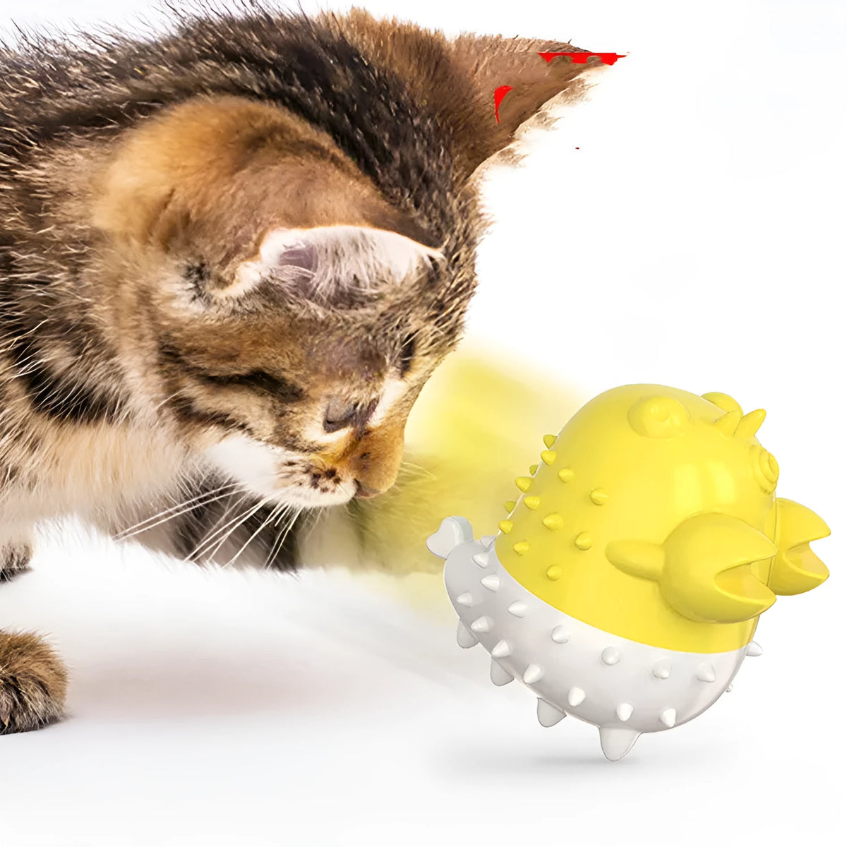 Electric vibration cat gnawing toy in TPR with USB charging, 360-degree enclosure, Blue Green Yellow options, 0.11KG