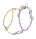 Solid colour PVC dog leash in dark red purple yellow, shown at 120 cm length.