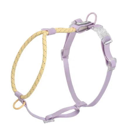 Solid colour PVC dog leash in dark red purple yellow, shown at 120 cm length.