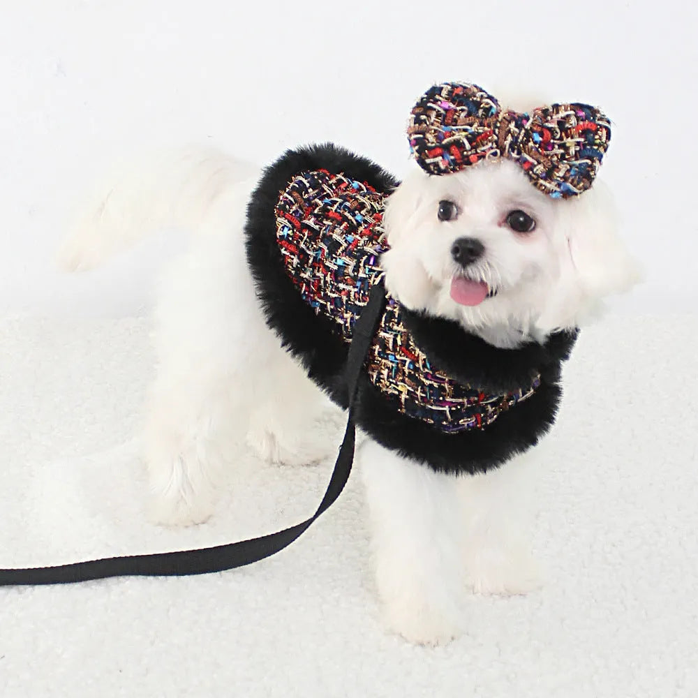Classic pet dog cloak attached to chest strap harness with separate hand-holding leash in cloth material
