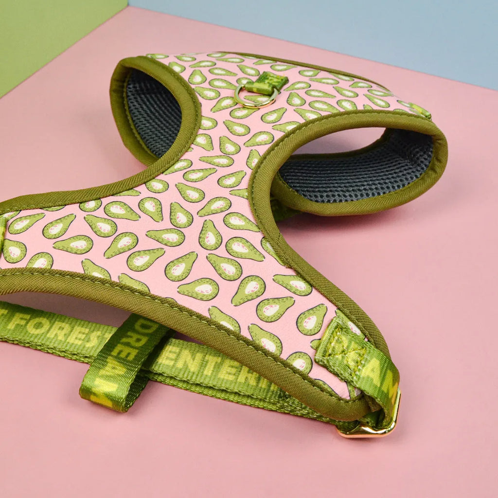 Adjustable chest-back dog haulage rope harness in six colour options for medium and large breeds