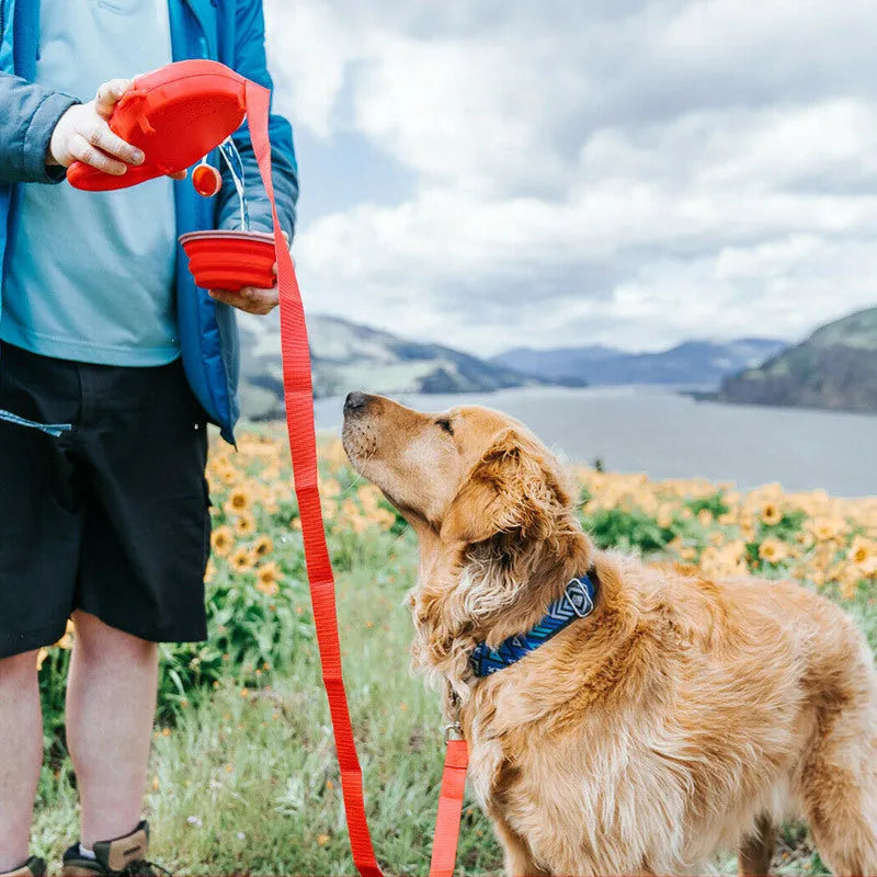 Retractable dog lead with built-in water bottle in blue, black or red, made from ABS with automatic telescopic rope