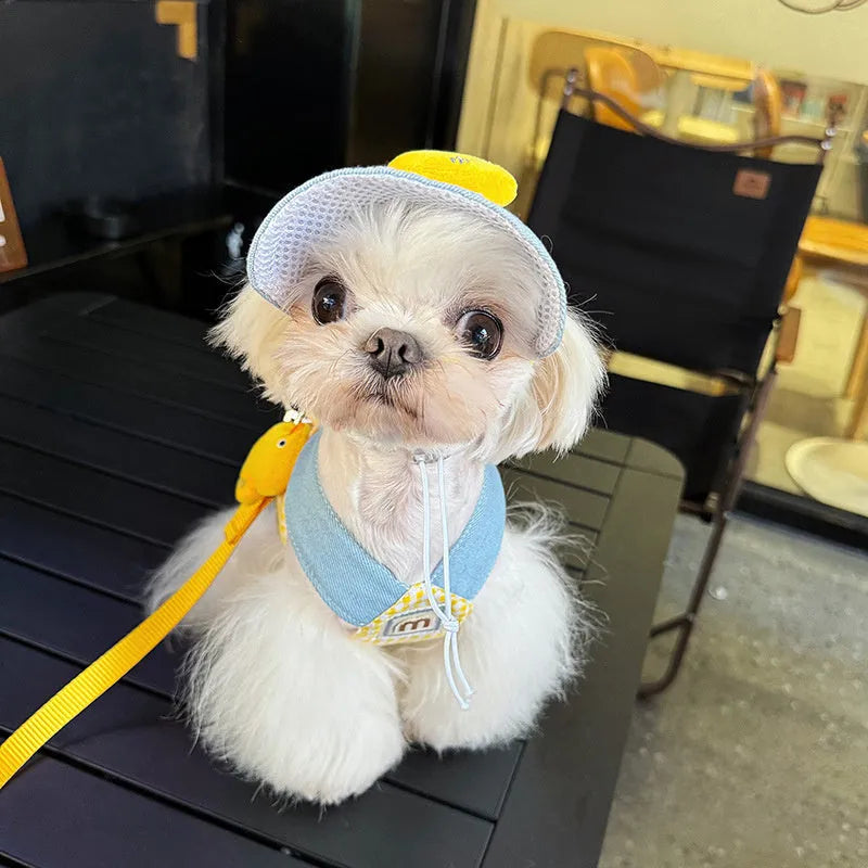 Pet harness and leash set with wire rope pulling rope and three-piece outfit including cute hat