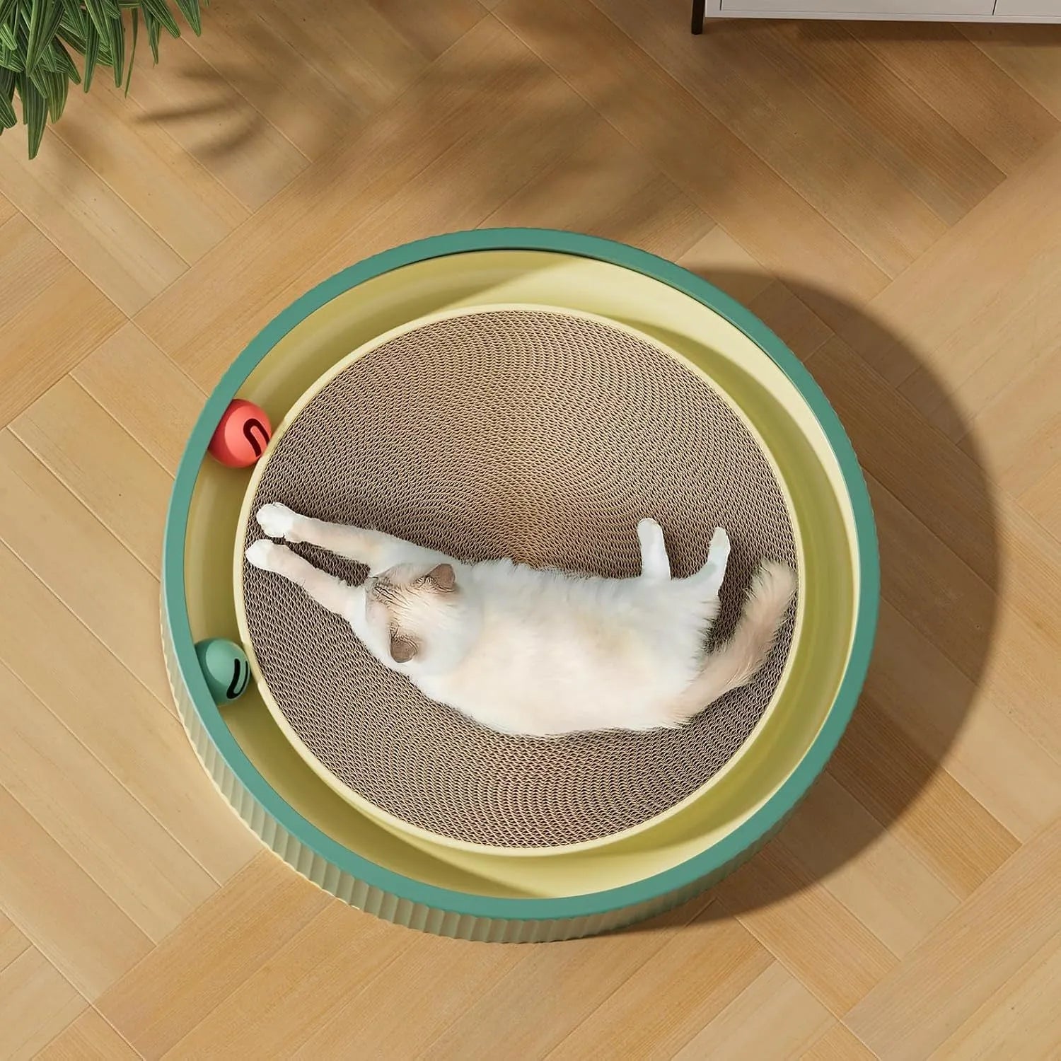 Large circular green cat scratching board with ball toys and a replaceable cardboard core