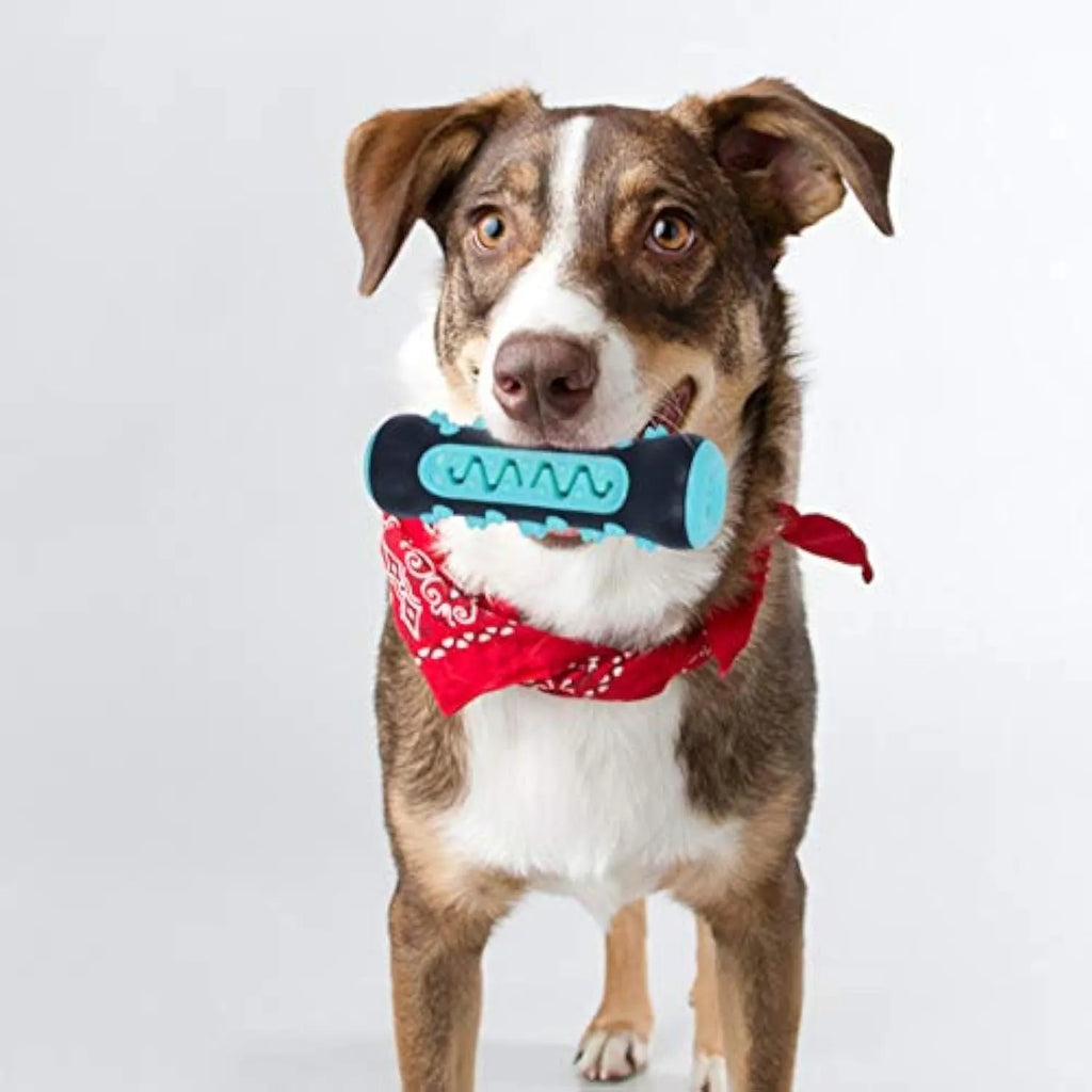 Natural rubber dog toothbrush chew toy in blue, showing textured surface for dental cleaning